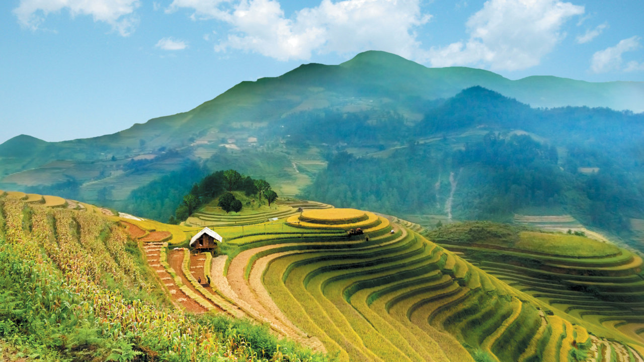 Landscape view of Rice Fields Mu Cang Chai, YenBai, Vietnam