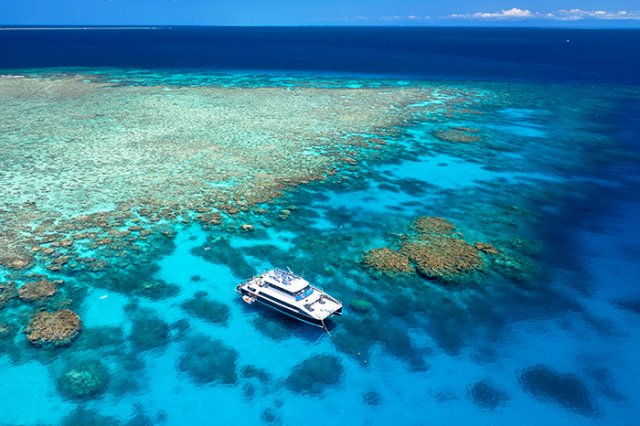 Great Barrier Reef cruise